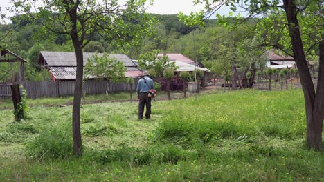 gardener man cut grass with trimmer