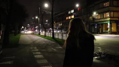 girl taking a walk in the city at night time slow motion, view from the back