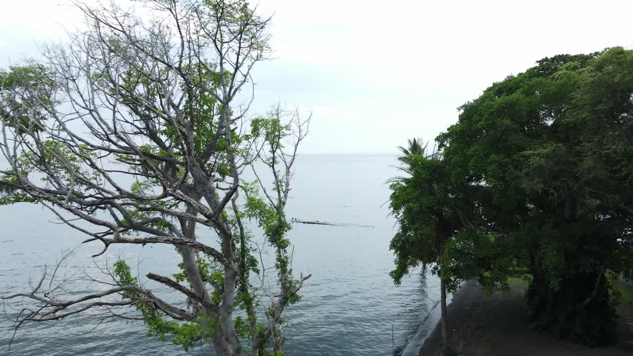 빅토리아 호수 연안 의 물  에 있는 나무 로 만든 도크 의 느린 설정