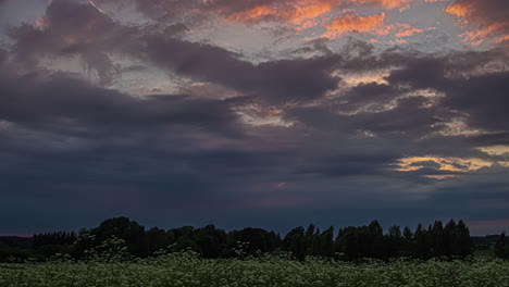 dusky clouds slide over white flower fields during sunset