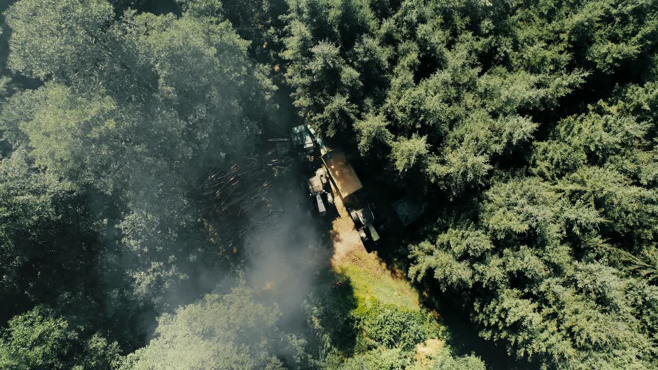Deforestation equipment and tractor in a forest, aerial view