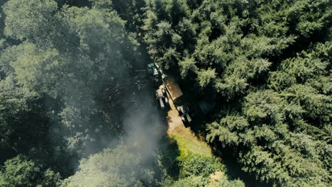 equipo de deforestación y tractor en un bosque, vista aérea