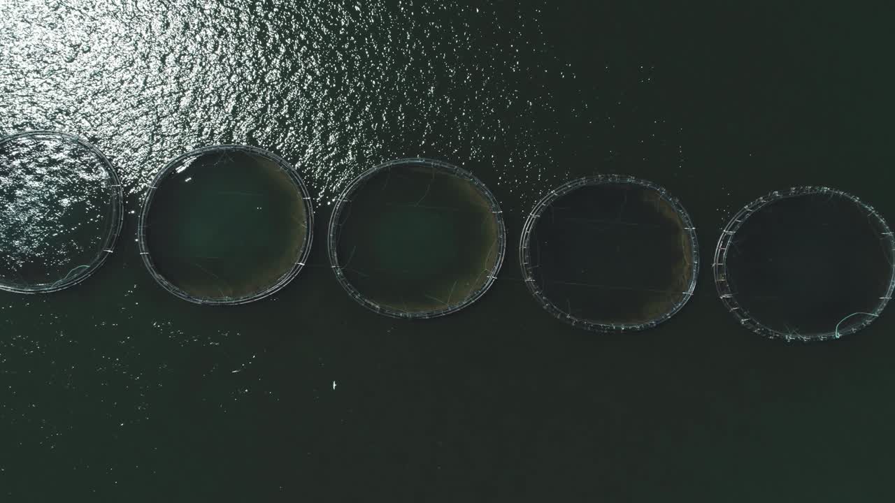 생선 농장의 수산물 그물