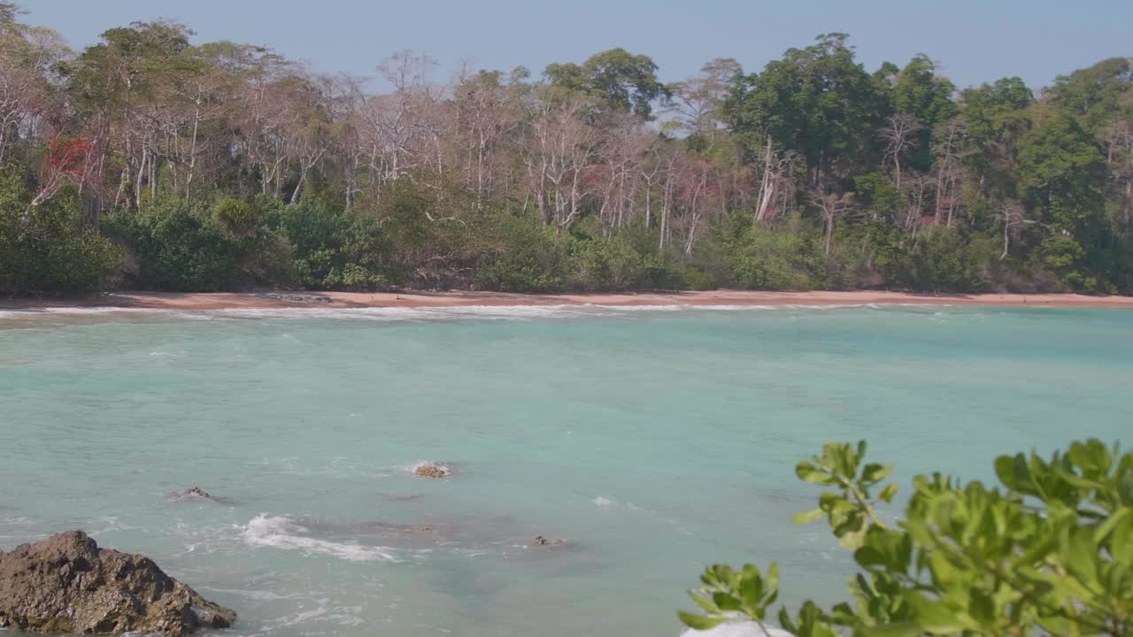 Waves rolling on a beach on a remote island in the Andaman islands with forest and vegetation in the foreground and background.