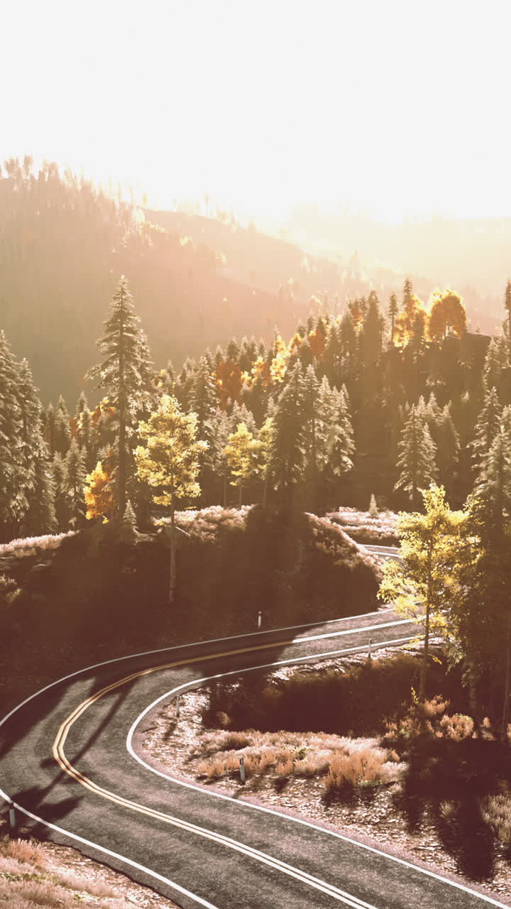 camino sinuoso a través de un bosque