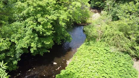 Waldflussszene,-Gefilmt-Mit-Drohnenaufnahmen-Im-Peak-District-Von-Derbishire