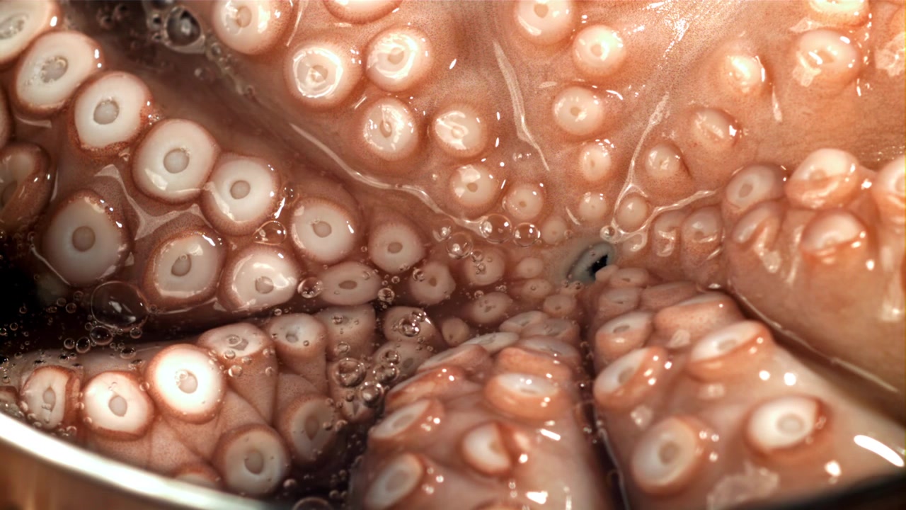Primo piano di tentacoli di polpo fresco che bollono in acqua.