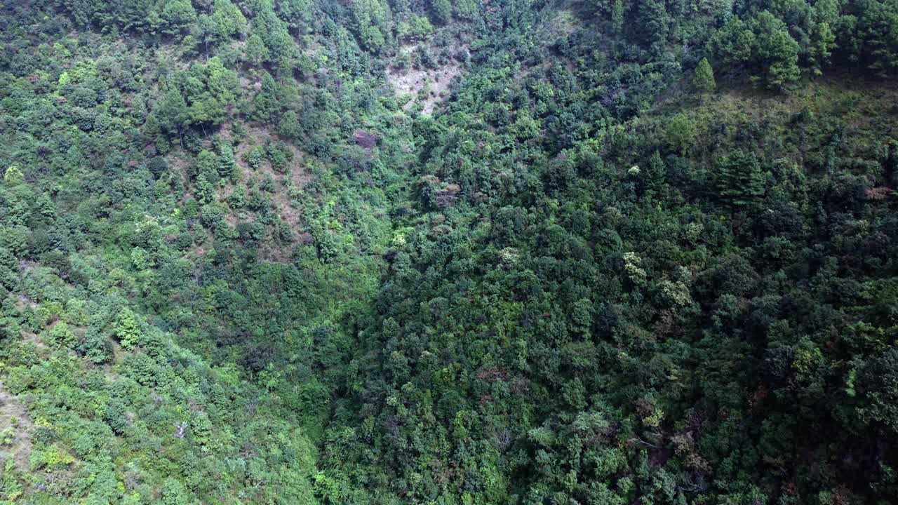 un vuelo aéreo sobre las estribaciones boscosas de las montañas del himalaya en nepal