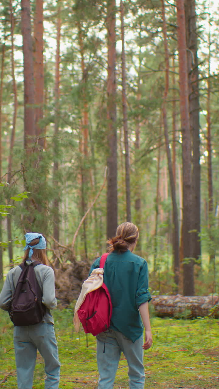 dos hermanas caminando a través de un bosque verde exuberante, una con corbata de cabello azul y mochila, la otra con una tela drapeada sobre la bolsa, vista de atrás, con árboles altos, luz suave filtrando a través