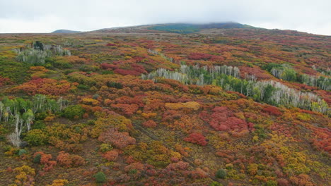 Unique-foggy-cloudy-Colorful-Colorado-aerial-cinematic-drone-San-Juans-Range-Ridgway-Mount-Sniffels-Wilderness-Million-Dollar-Highway-Dallas-Range-autumn-fall-forward-up-motion