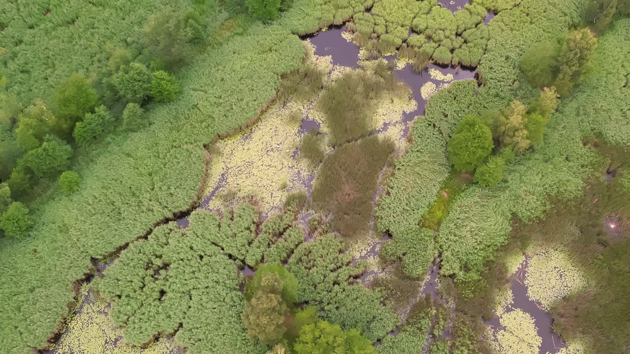 Top-Down Drone Shot of Niemodlin Fish Ponds