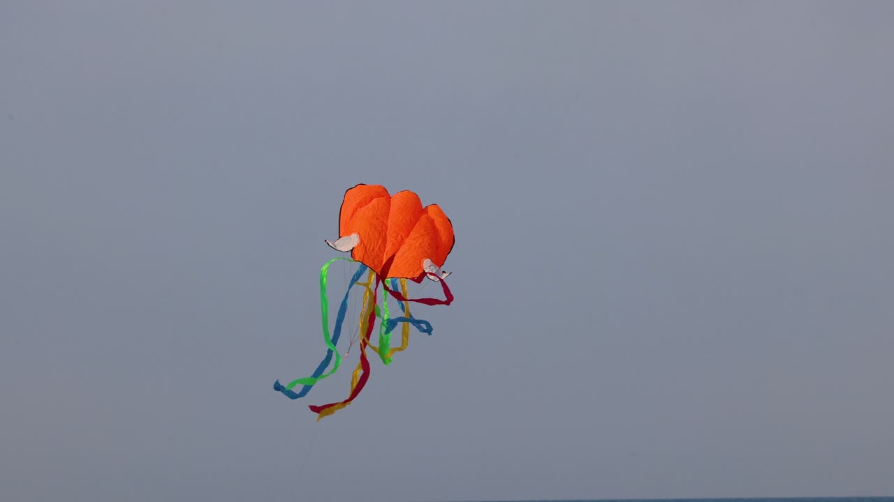 A vibrant kite soars and dances above the ocean.