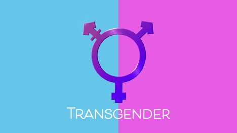 animation of text transgender, with purple transgender symbol on pink and blue