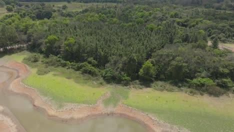 flying over forest of aniana vargas national park in dominican republic