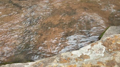 mountain-spring-water-stream-running-down-huge-sandstone-slabs-of-rock-with-green-moss,-algae-and-green-plants---crystal-clear-drinking-water,-meditation-tranquil-and-peaceful-calming-outdoor-nature