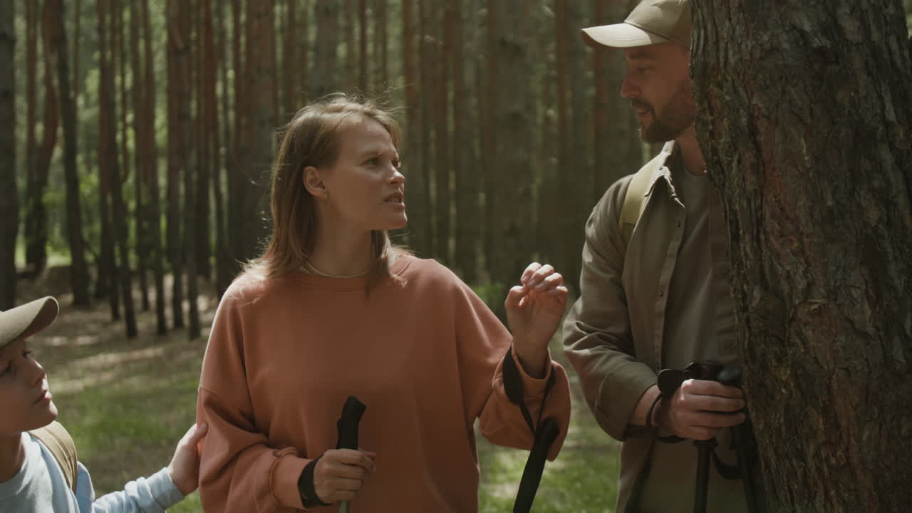 семейные походы в лес