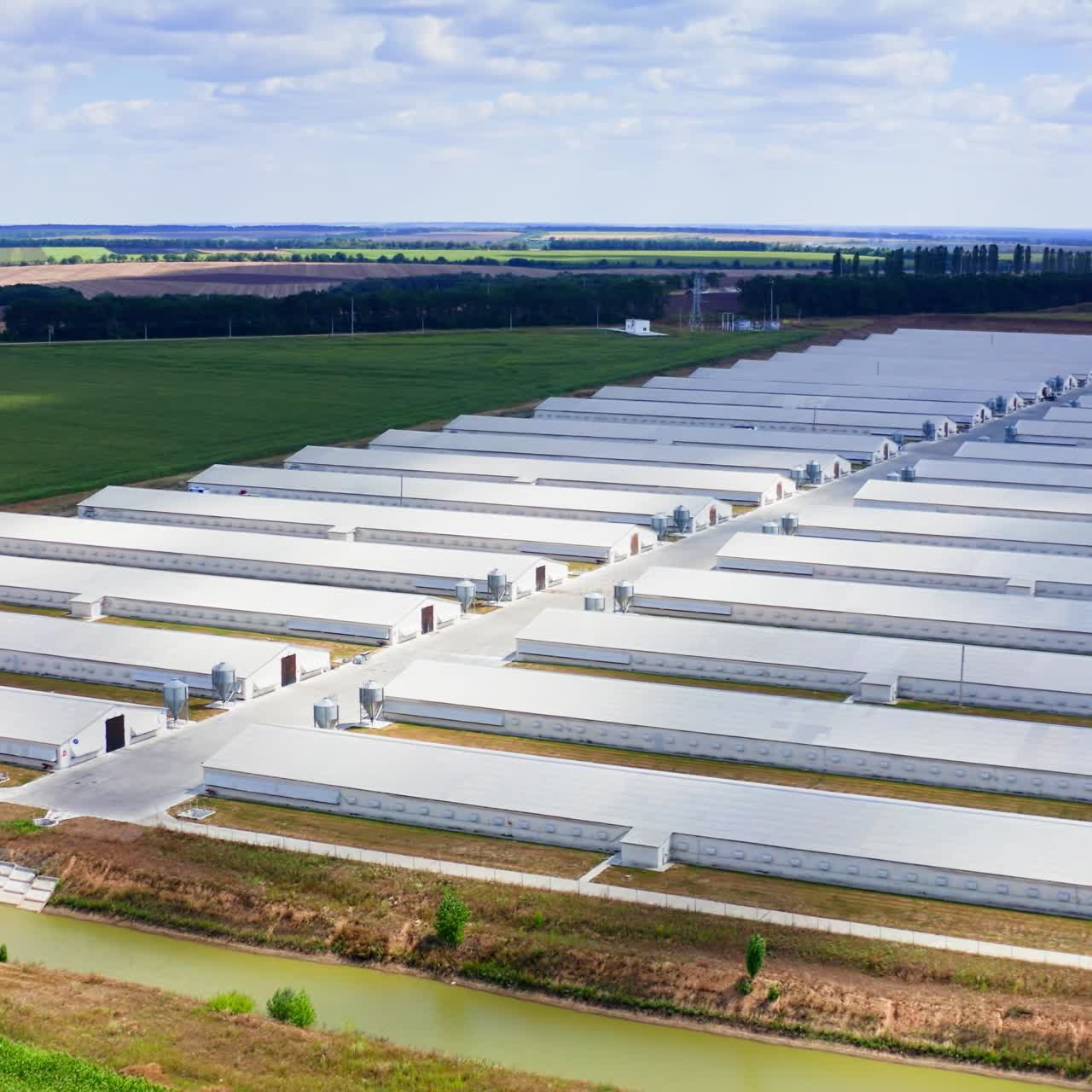 White farm houses on beautiful nature background. Modern barns on green field. Large territory of agricultural complex in rural place