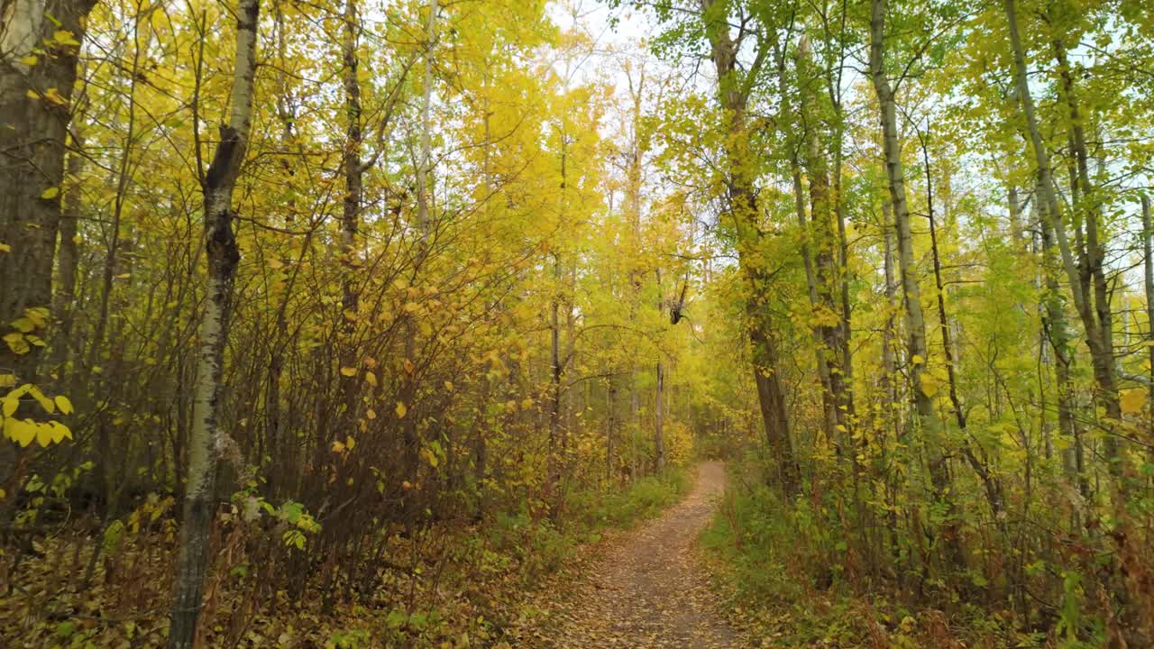 Beautiful Autumn Trails At Elk Island Alberta