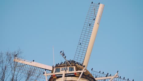 Aspas-De-Molino-De-Viento-Con-Siluetas-De-Pájaros-Posados-Cerca-Del-Campo-Durante-El-Verano