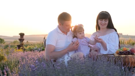 family enjoying a picnic in a beautiful lavender field at sunset