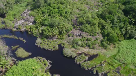 drone footage of the police bay mangrove, mahe seychelles, 30fps 6
