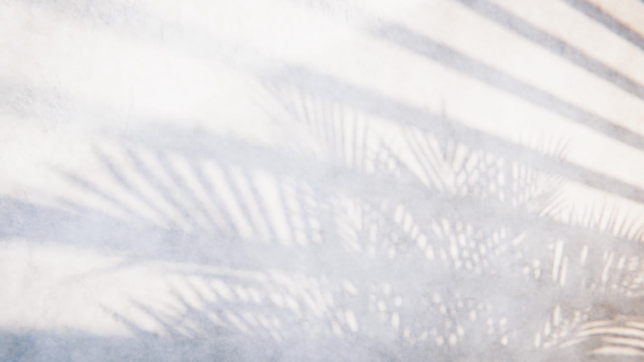 Abstract Shadows of Palm Leaves and Blinds Moving on a Textured Wall