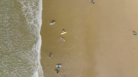 Toma-Aérea-De-Arriba-Hacia-Abajo-Que-Se-Aleja-De-Los-Surfistas-Que-Abandonan-El-Océano-Después-De-Atrapar-Olas