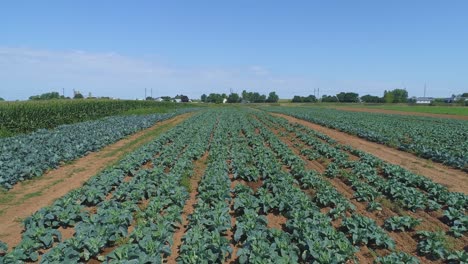 Una-Vista-Aérea-De-Cerca-De-Las-Tierras-De-Cultivo-Amish-Y-El-Campo-Con-Campos-De-Cultivo-Verdes-En-Un-Día-Soleado-De-Verano