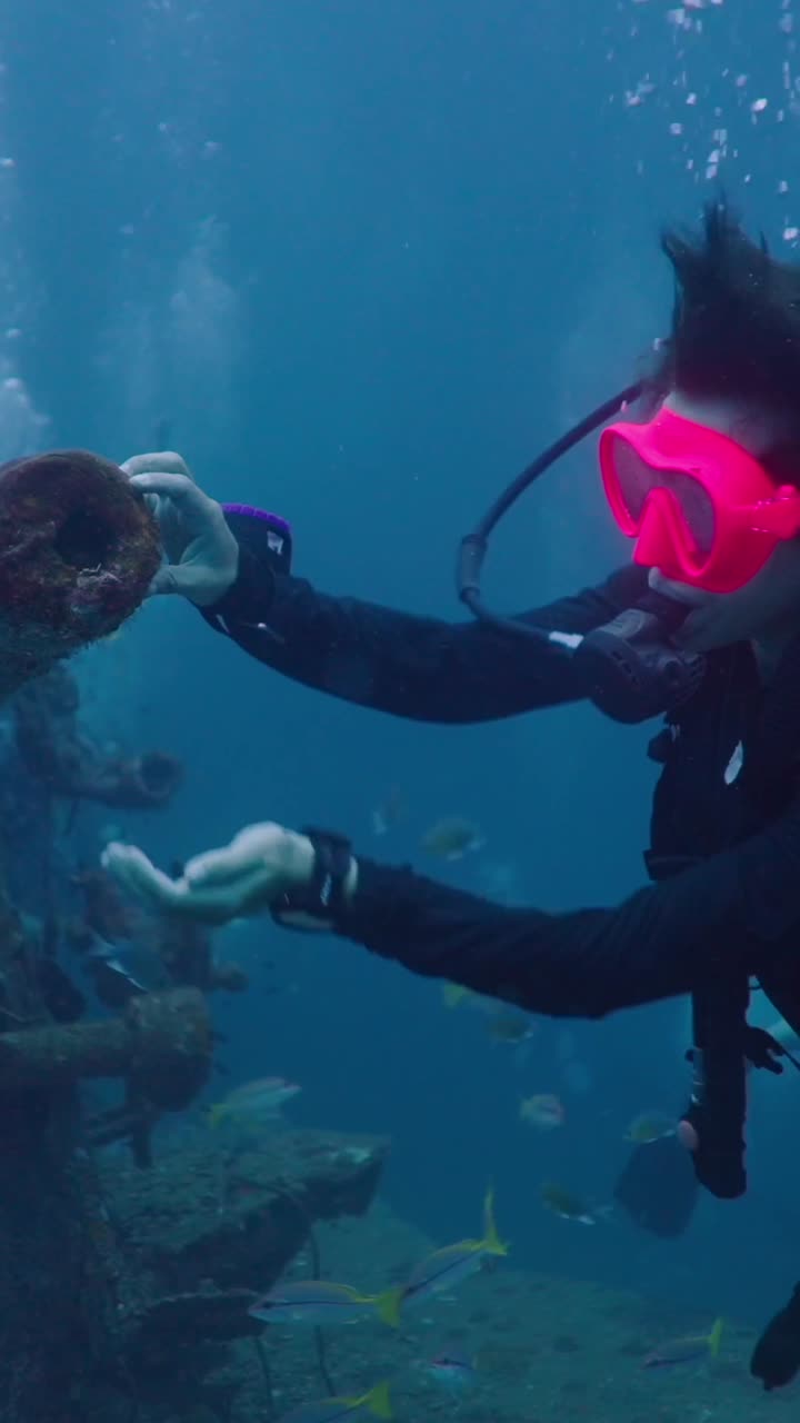 Scuba diving with fish and exploring a wreck