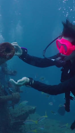 scuba diving with fish and exploring a wreck