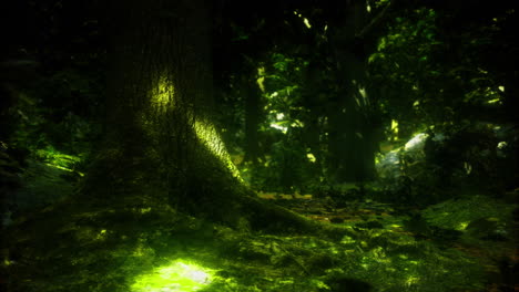natures enchanting glow in a vibrant forest during dusk
