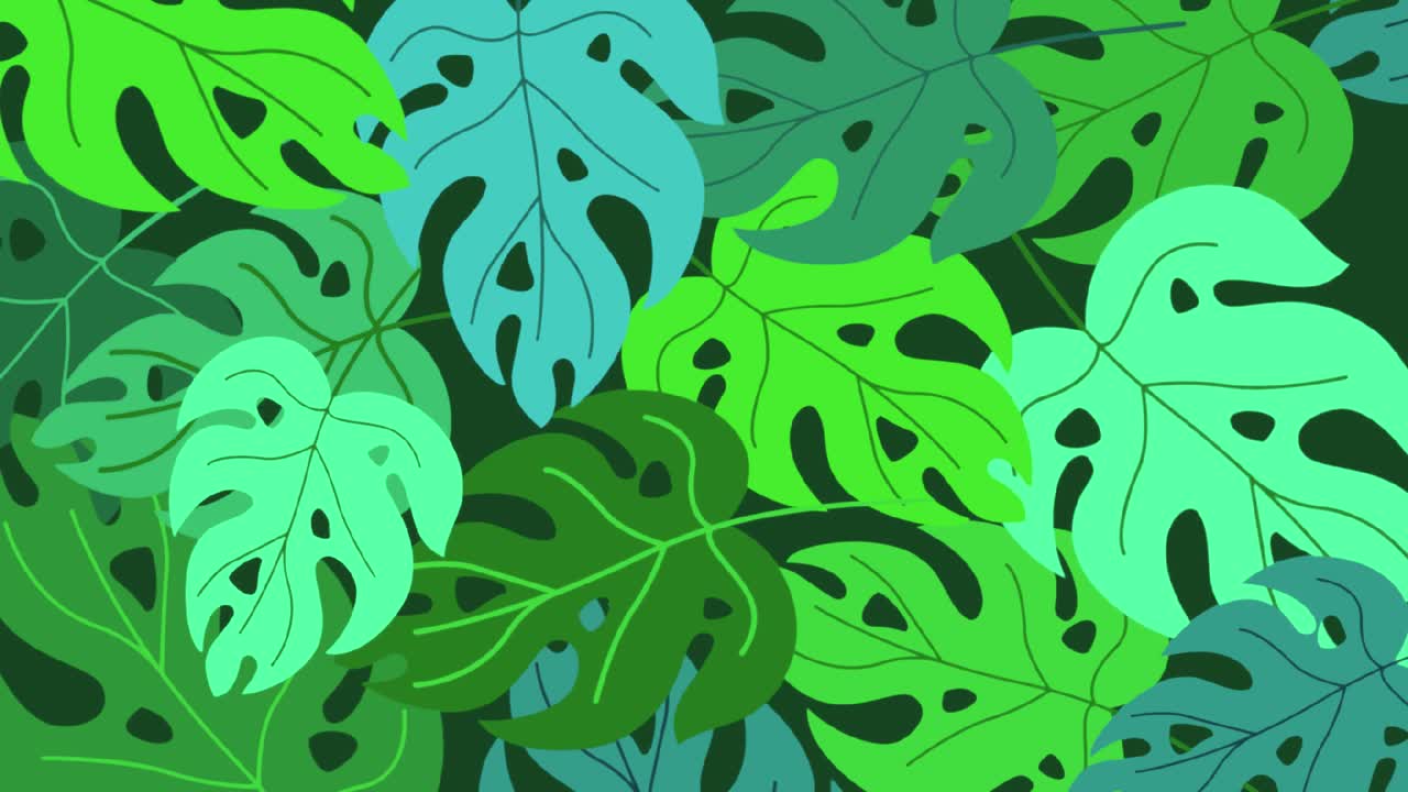 selva naturaleza fondo borroso verde flores bosque selva tropical desenfoque bokeh 4k fondos youtube