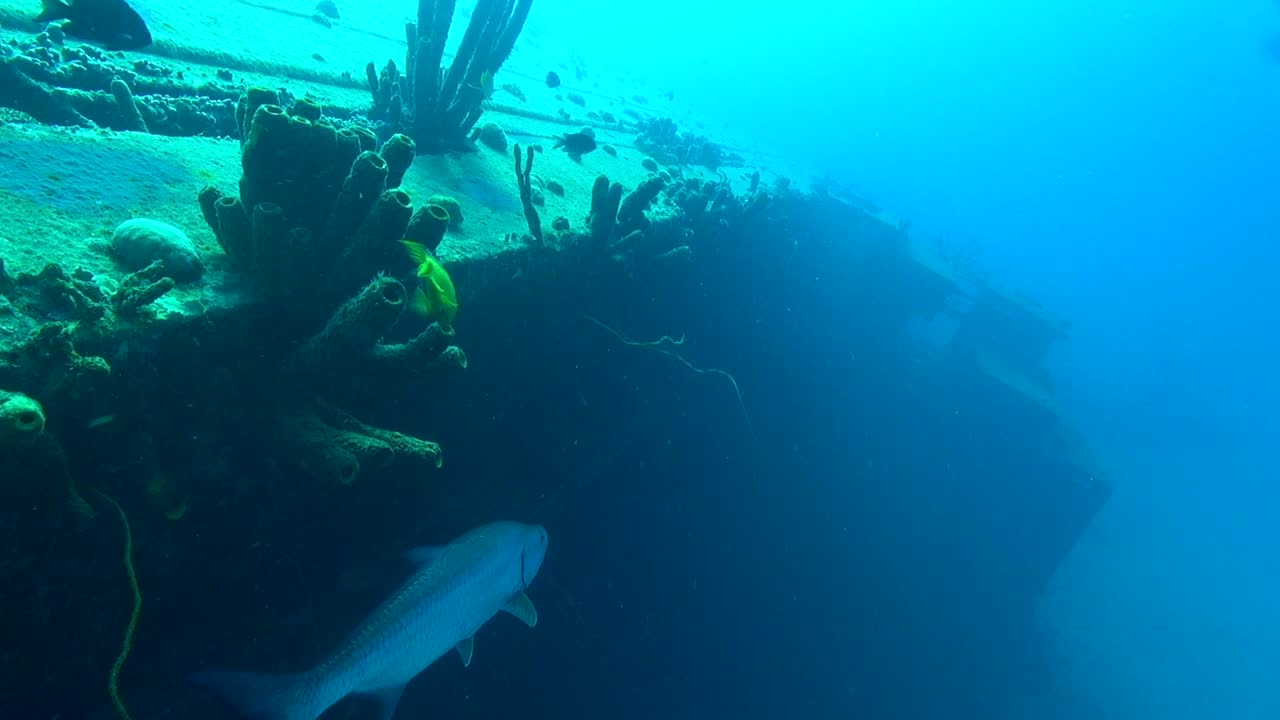 sábalo hilma prostituta