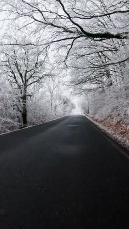 POV from a car riding a right turn in a snowy winter forest