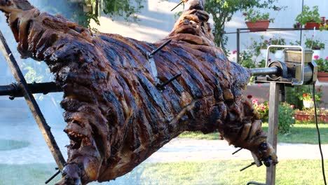 4k detail view of appetizing whole lamb carcass rotating on a spit