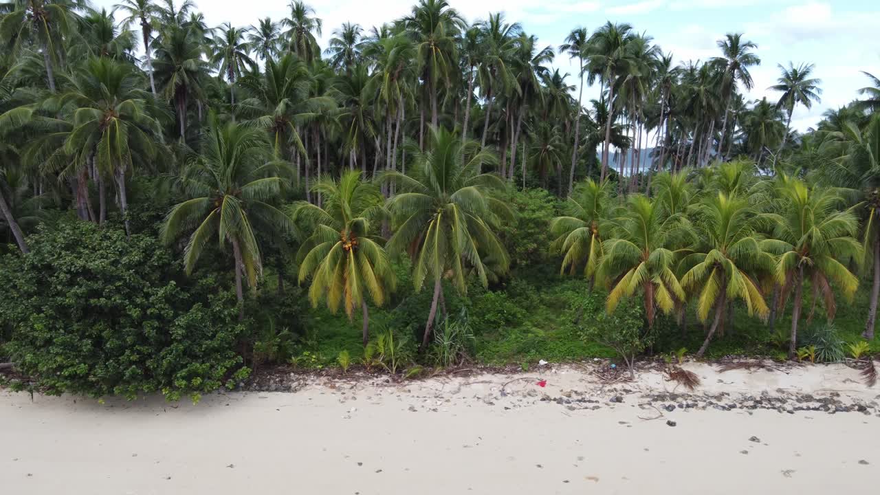 un exuberante bosque de palmeras de coco y una playa tropical de arena blanca