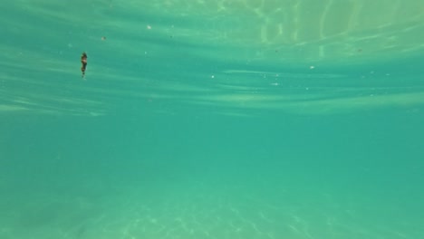 las aguas cristalinas y la exuberante vegetación crean una escena tranquila en una playa de phuket, capturada con perspectivas bajo el agua y por encima del agua