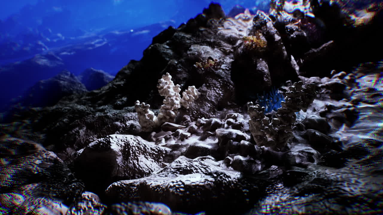 놀라운 수중 산호초 장면