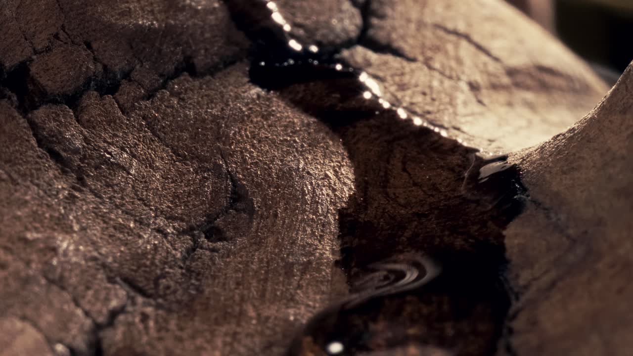 Macro slow motion shot of a large clear resin drop gliding across a tree trunk in cinematic backlight. Highlights natural textures and the organic movement of sap in nature.