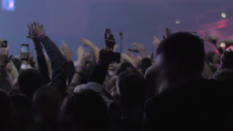 vigorous and excited music fans dancing at the concert