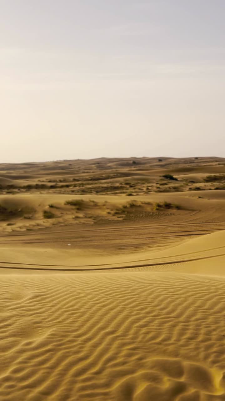 Vista panoramica di dune di sabbia dorate in un vasto paesaggio desertico