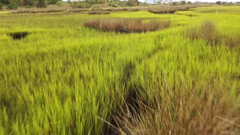 low flying over the marsh grass at oak island north carolina