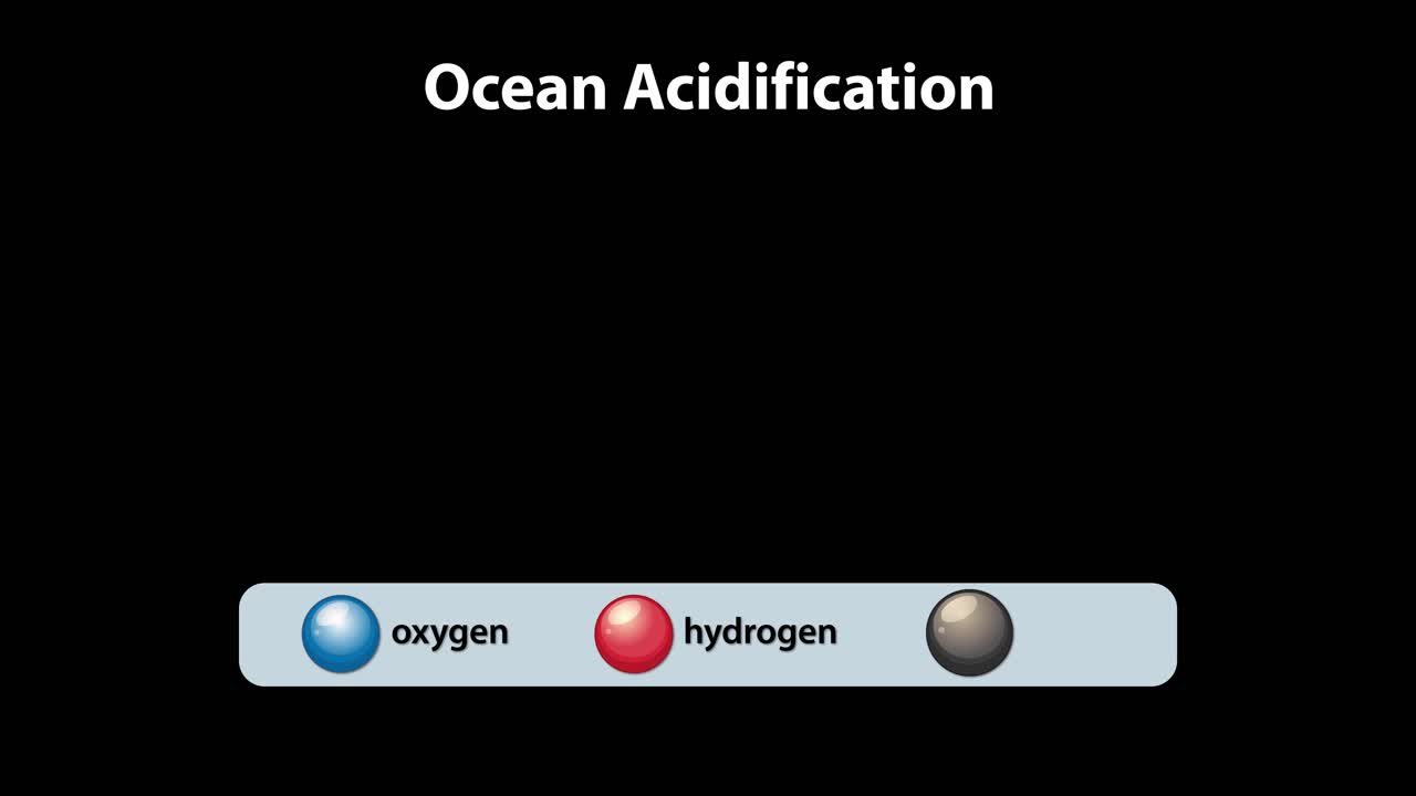 Visualizing molecular changes in ocean acidification process