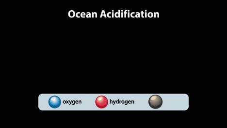 visualizing molecular changes in ocean acidification process