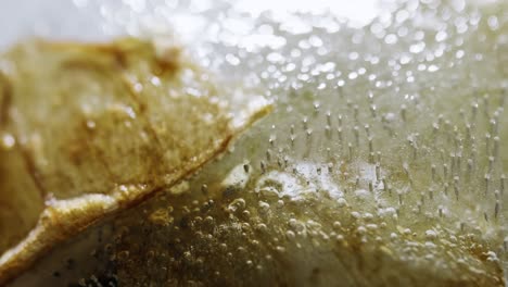 abstract macro shot of frozen flower