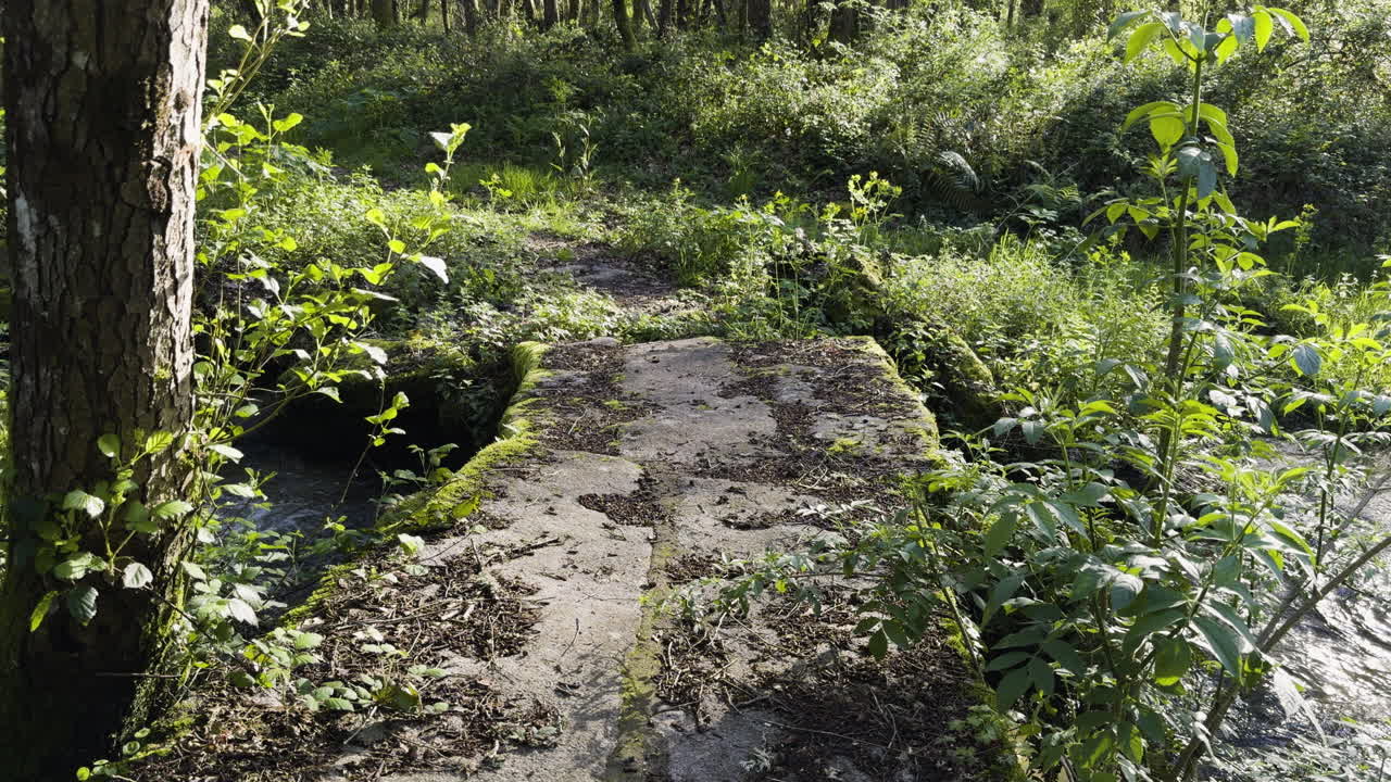 viejo puente de piedra cruza un pequeño arroyo o arroyo en un bosque sereno y tranquilo