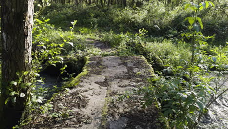 old stone bridge crosses small brook or stream in serene calm forest