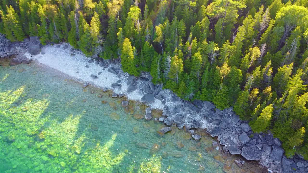 Shore of rocks next to crystal clear water and trees