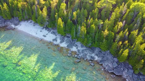 Shore-of-rocks-next-to-crystal-clear-water-and-trees