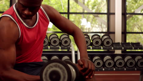 fit man lifting dumbbells while sitting on the bench